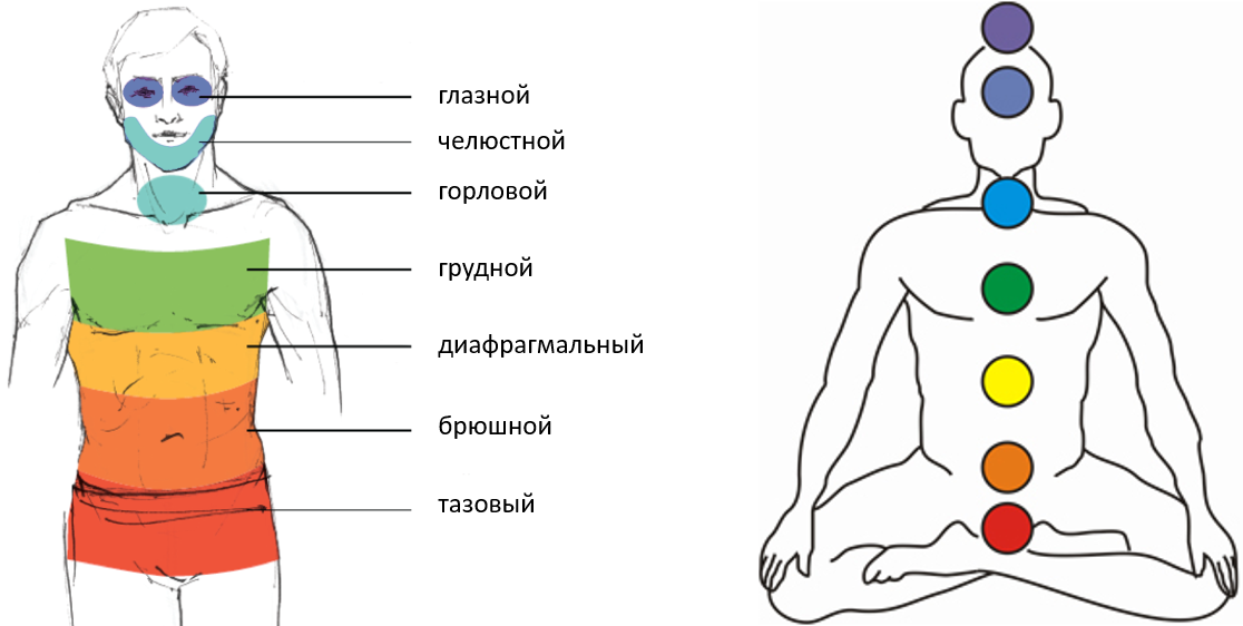 Дышать и двигаться: как связаны тело и эмоции