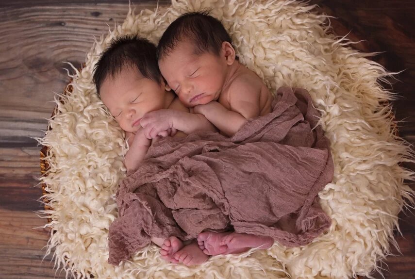 Фото: pixabay.com