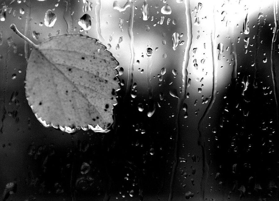 Пасмурную погоду некоторые могут предугадать по своему самочувствию