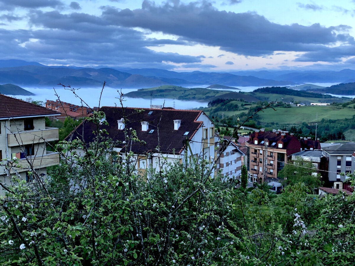 Camino de Santiago, Tineo