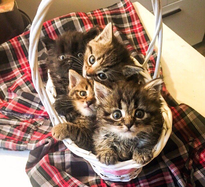 Смешные слова на белорусском языке