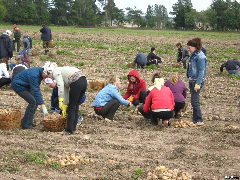 Фото использовано в качестве иллюстрации. Источник: Яндекс Картинки  