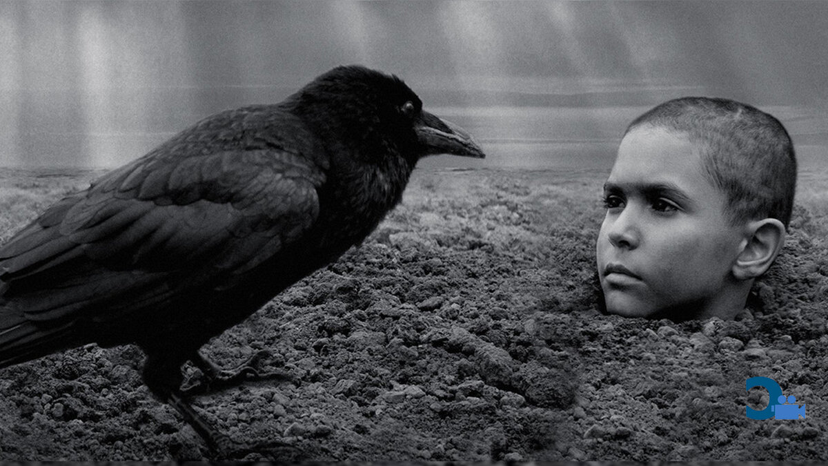 Кадр из фильма "Раскрашенная птица"