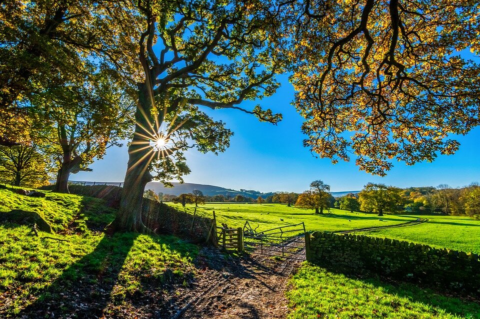 https://pixabay.com/photos/yorkshire-autumn-sunshine-morning-2900064/