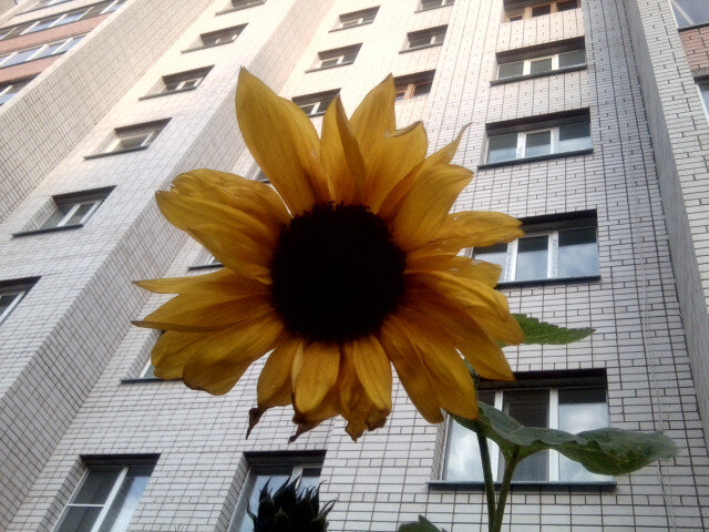 Астрологи назвали 5 знаков зодиака, которых можно называть счастливчиками. Всё, за что бы они не брались, обречено на успех. Они всегда добиваются своих целей и живут так, как им нравится. Оказывается, что Вселенная подкидывает им пару козырей в карман.