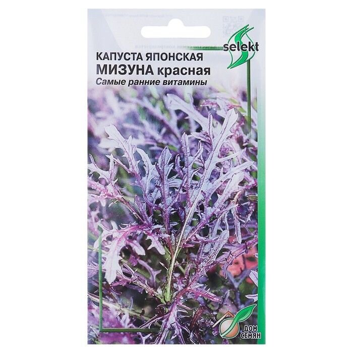 Капуста японская мизуна фото и описание