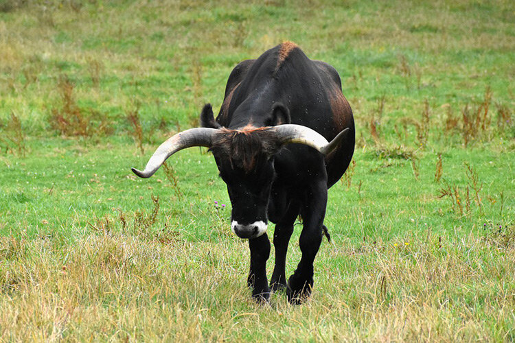 Фото с сайта Pixabay.com