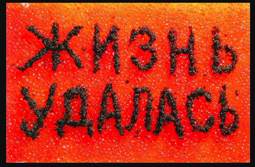 Андрей Логвин, плакат "Жизнь удалась", 1997