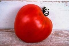 Что такое БИФ томаты и чем они отличаются от обычных помидоров?