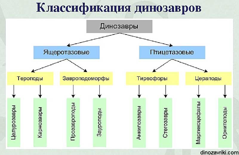 Отряды динозавров схема