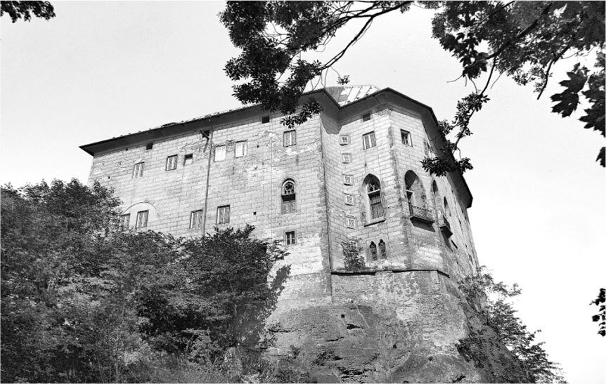 Чешский замок Гоуска (фото из интернета)