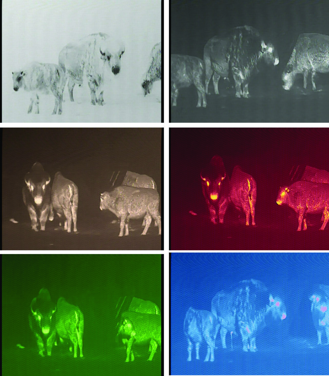чем отличается ночное видение от тепловизора. тепловизор ночного видения изображение. тепловизор ночного видения изображение. тепловизор ночного видения. чем отличается ночное видение от тепловизора.