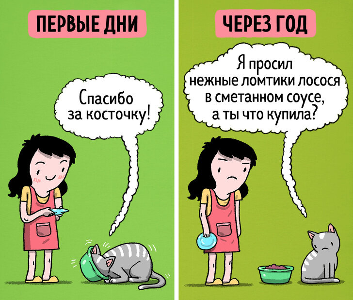 Котики классные, но высокомерные))