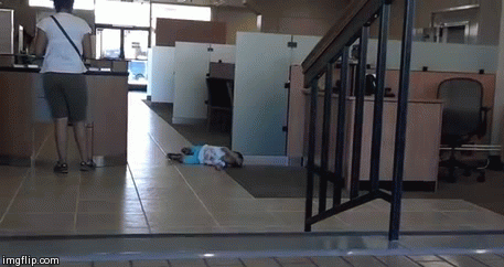 Гив из свободных источников