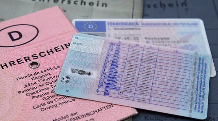 Так выглядит задняя сторона документа 