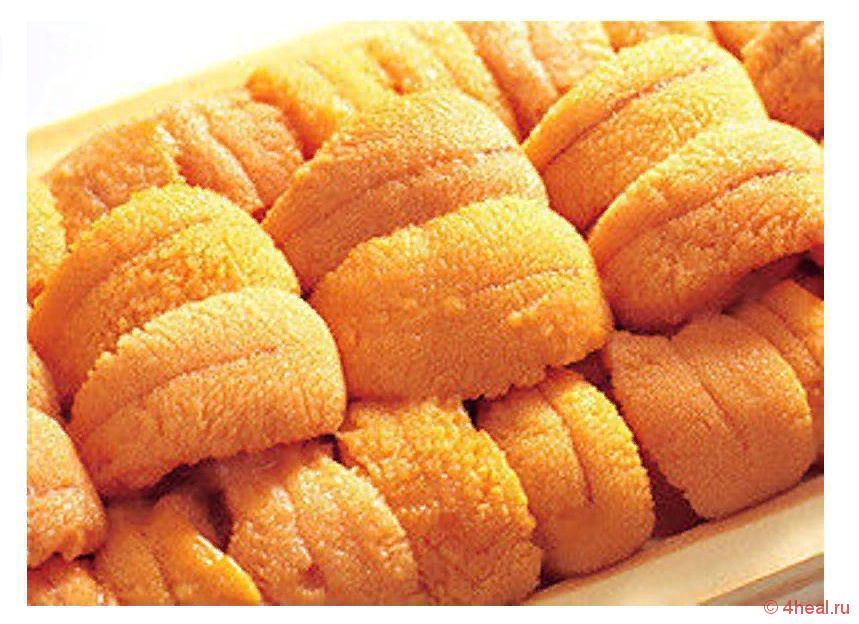 Гонады морского ежа 