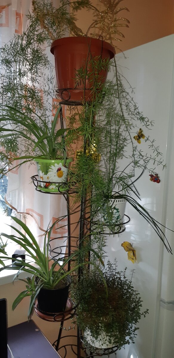 Это только начало 