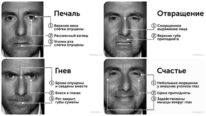 Когда человек врет он поднимает брови