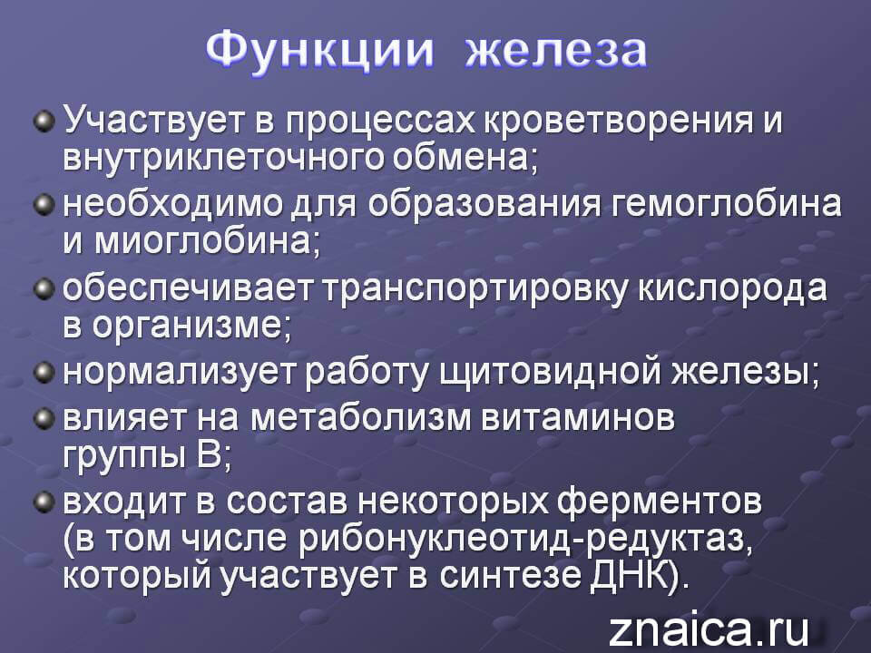 5 домашних роботов, которые изменят вашу жизнь :: Дизайн :: РБК Недвижимость