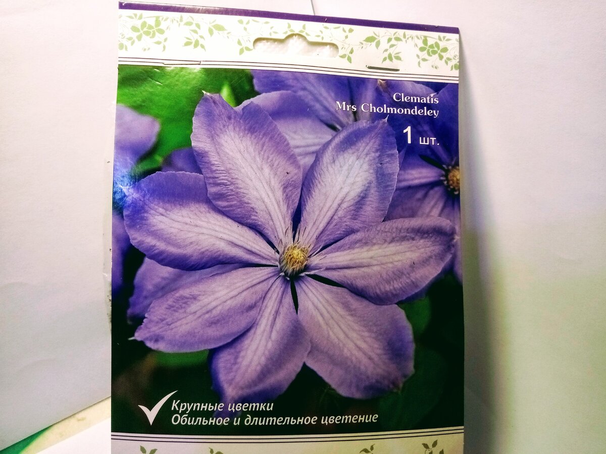 Пакет с клематисом Mrs  Cholmondeley