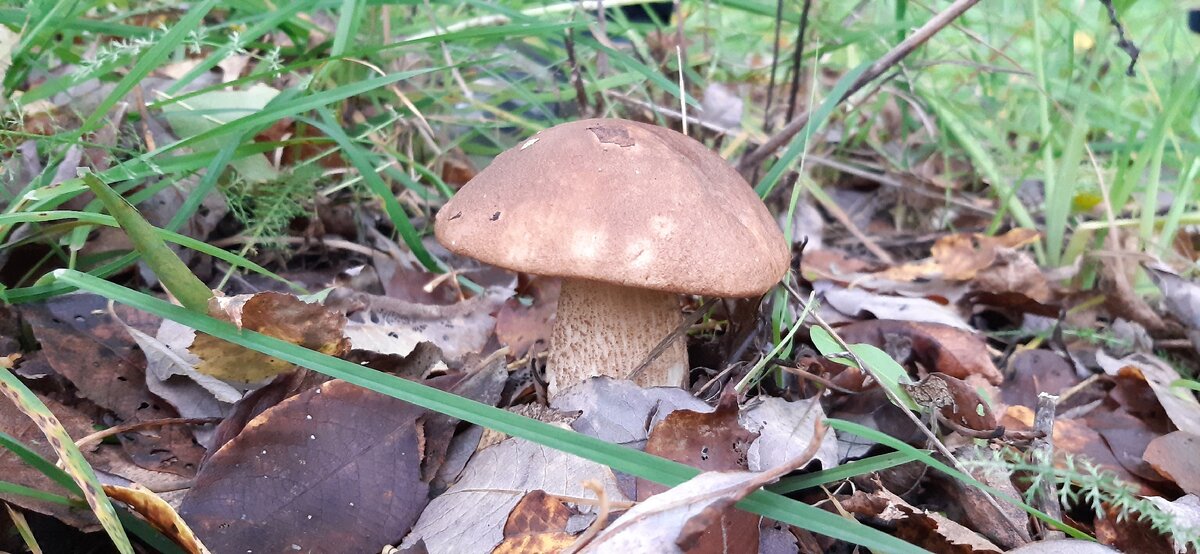 Фото из личного архива (с) Лайка Ваймуле