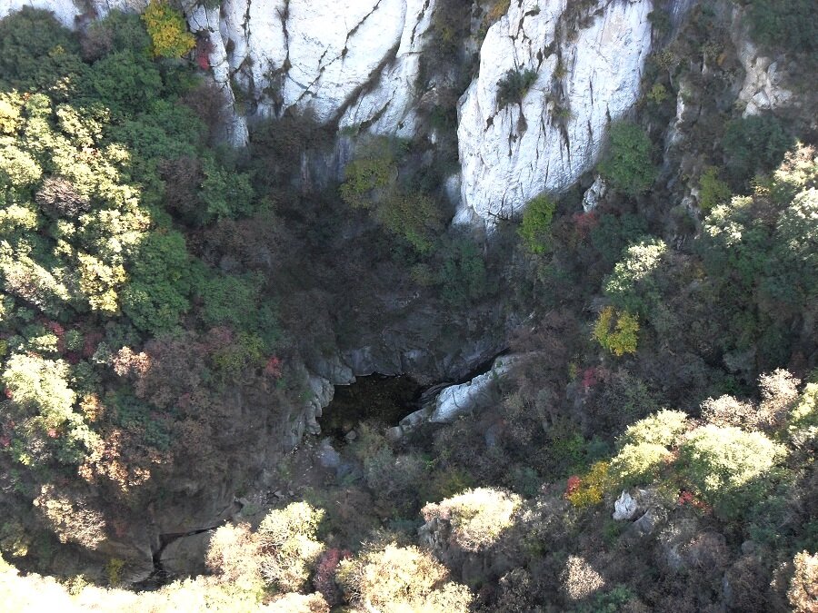 Вот куда-то туда упал фотоаппарат девушки