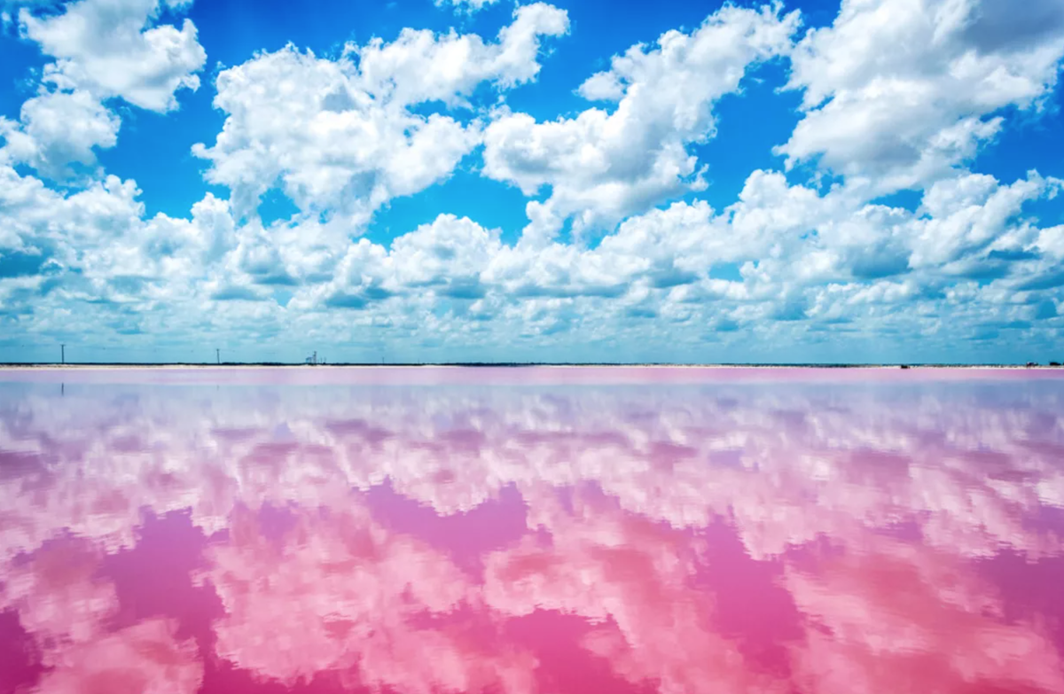 Розовое озеро море. Las Coloradas розовое озеро. Лас Колорадас Мексика. Лас-Колорадас Юкатан Мексика. Лас Колорадас Мексика розовая Лагуна.