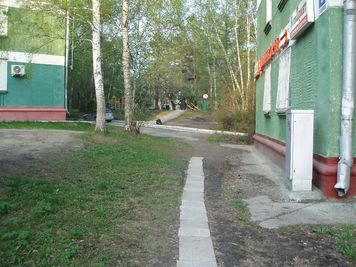 (фото нашего двора в 60-е)