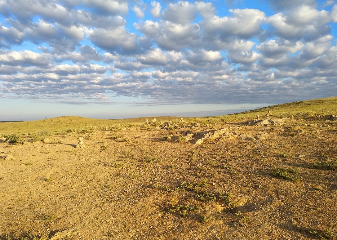 Туркестан, 2019