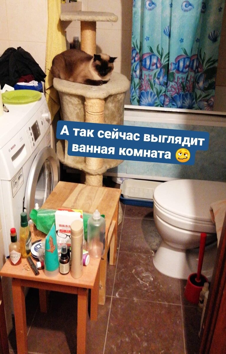 бедлам в квартире