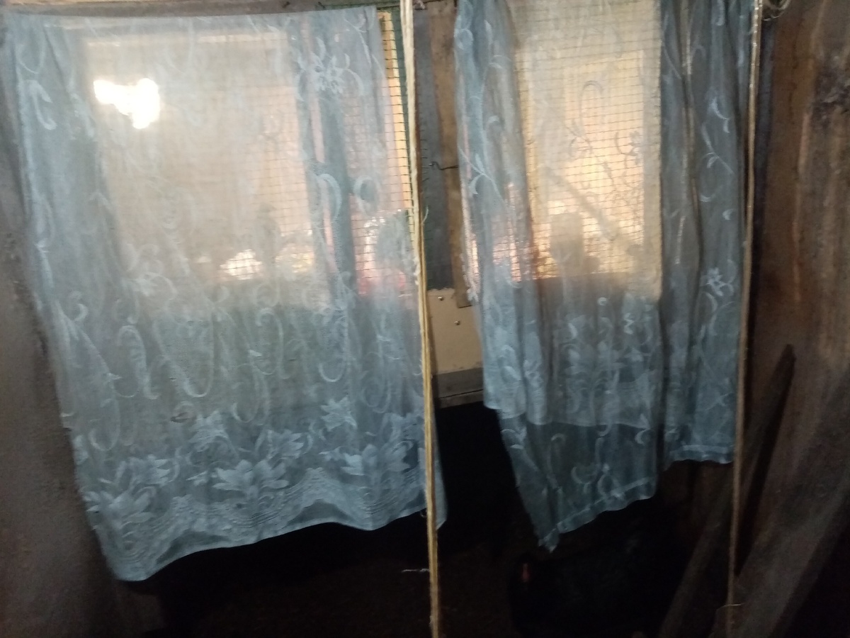 Чтобы теплее было,повесили тюль. Фото автора.