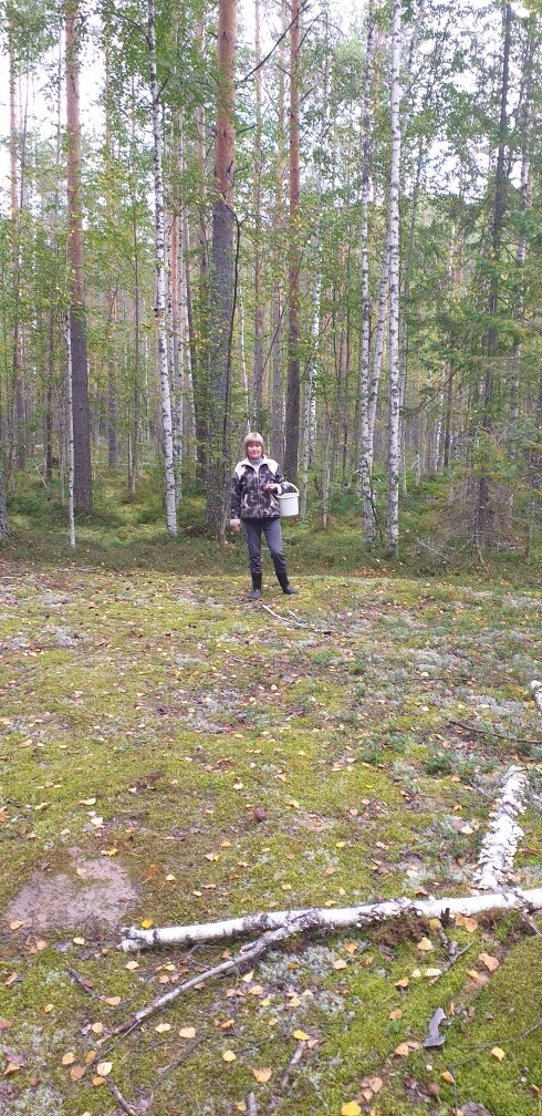 Прогулка по сентябрьскому лесу