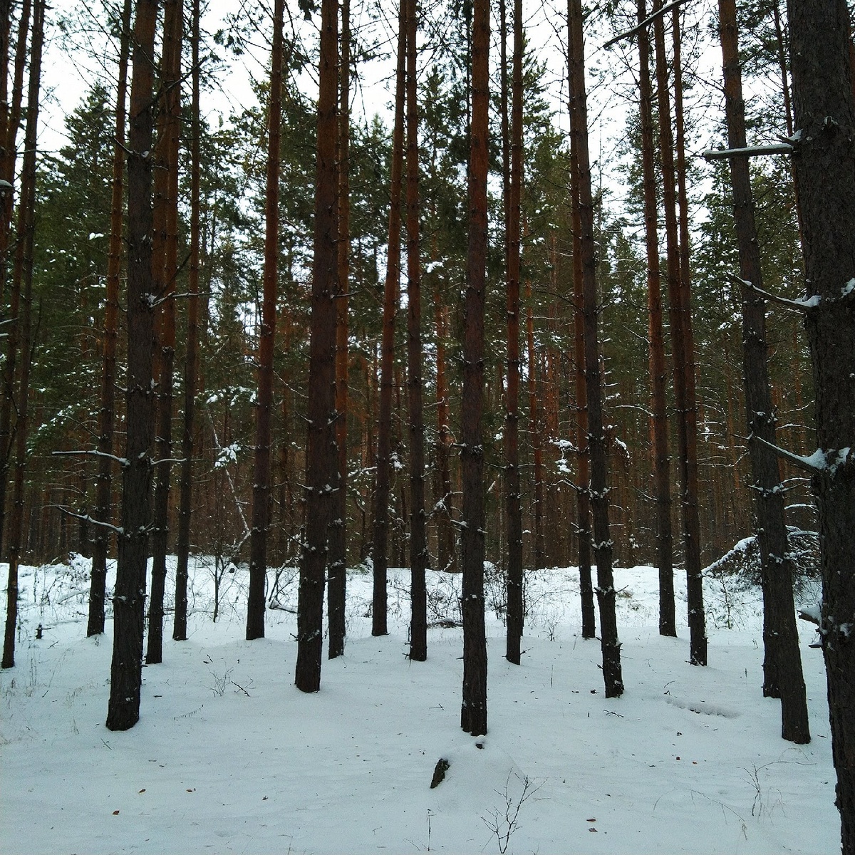 Зимой мы начинаем верить в чудо🌨