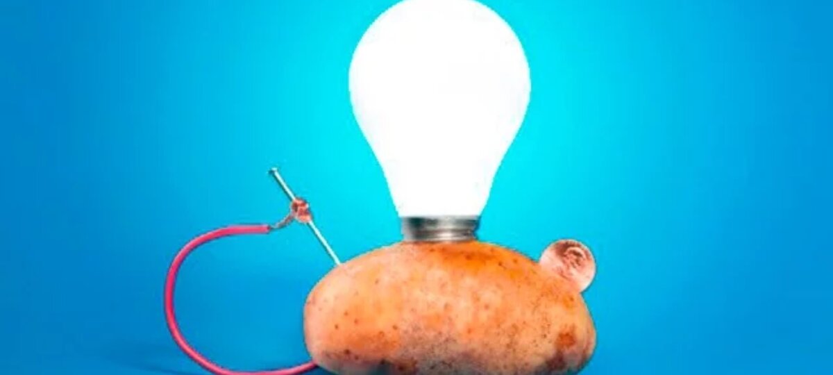 Картошка за миллион долларов - Факт в который не возможно поверить - самая дорогая картошка в мире