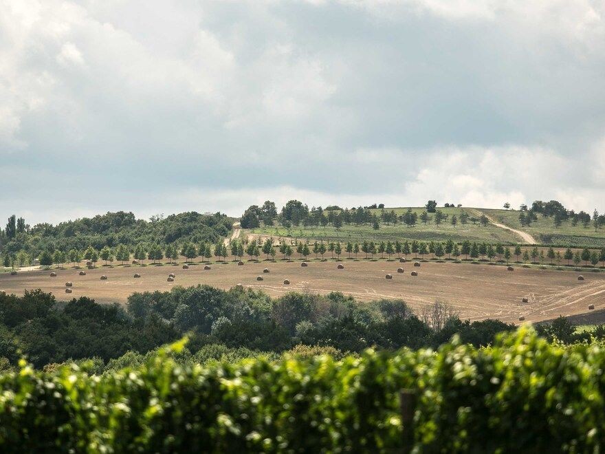  © Игорь Родин