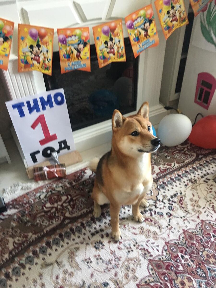 Это прошлогодний День Косточки. Именинник на фоне подарков)))