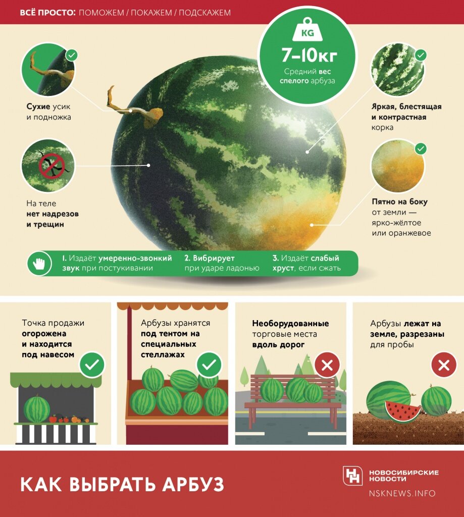 
Инфографика: nsknews.info