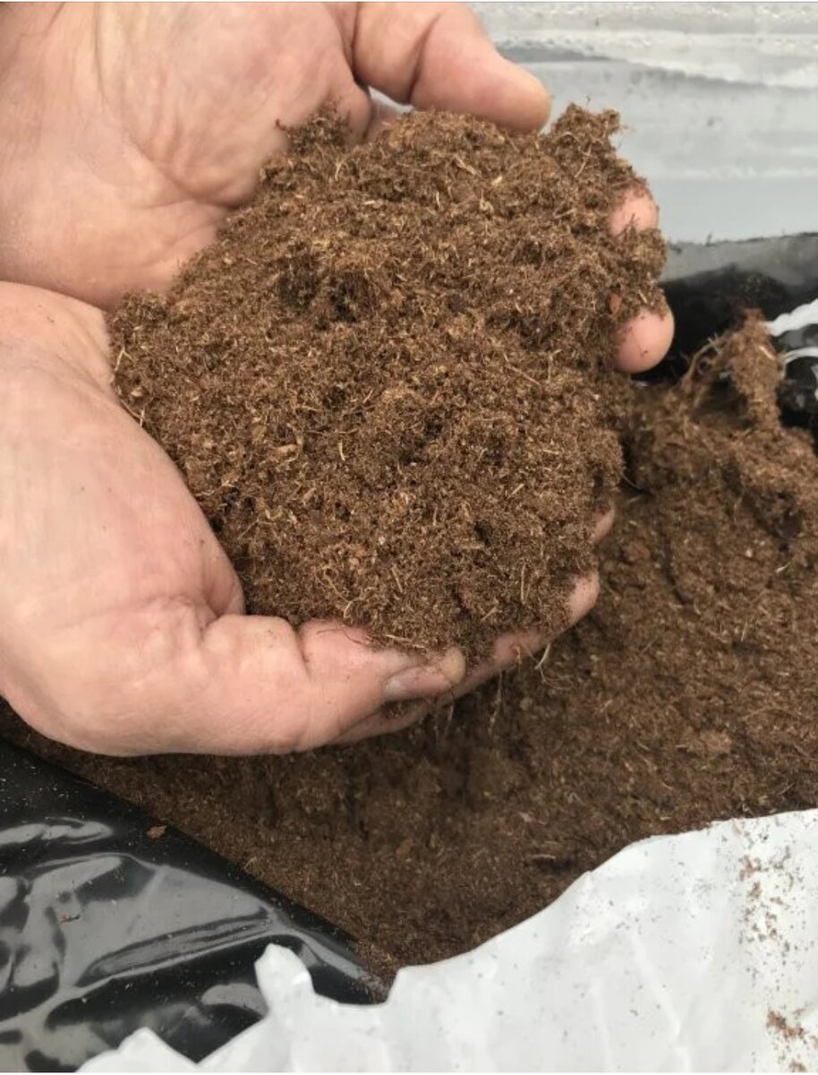 Фото взято из интернета