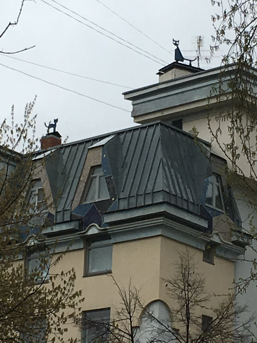 Некоторые и кошек могут сделать информаторами... Фото снято автором поста в Москве