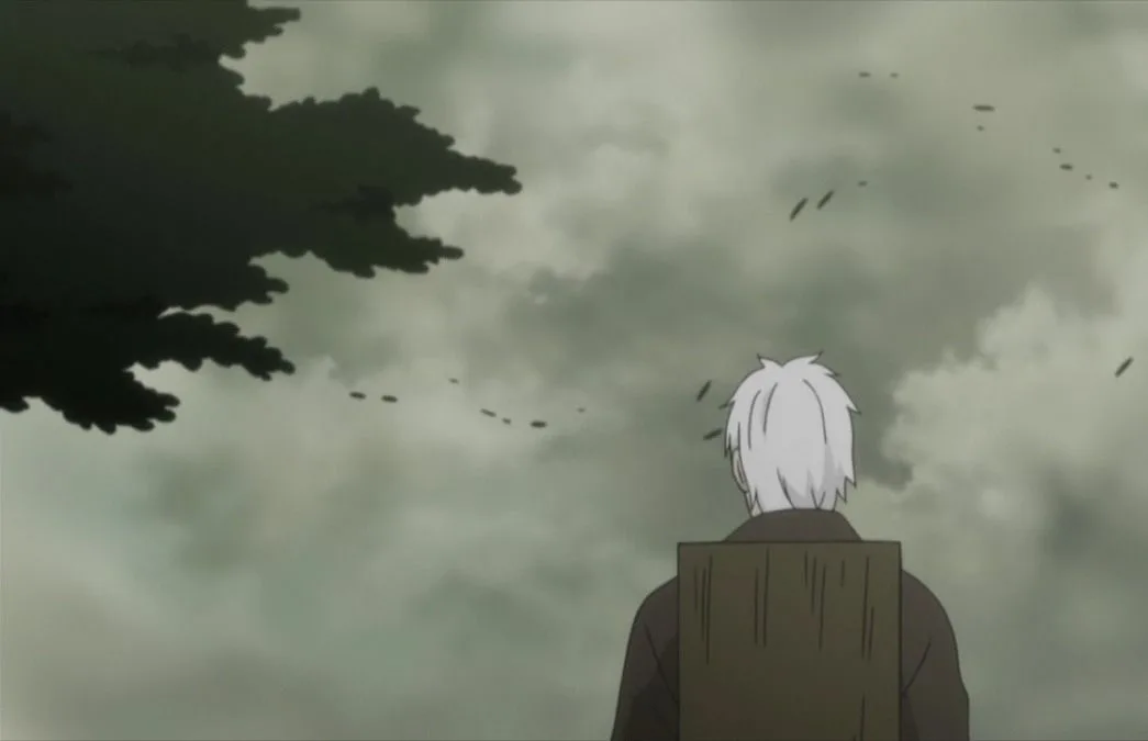  КиноПоиск: 8.0 