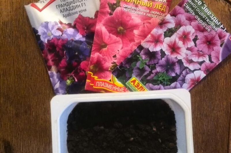 Вот такая почвенная смесь для рассады.