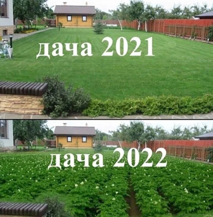 Фото из свободных источников.