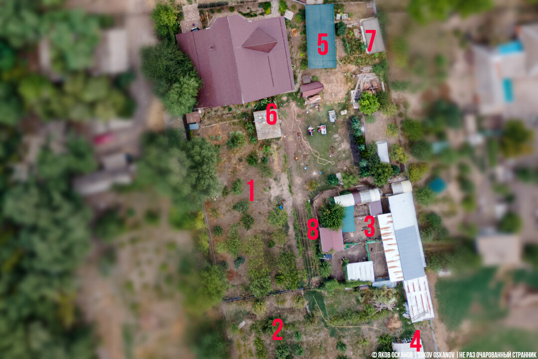 Фото старое. Пятилетней давности