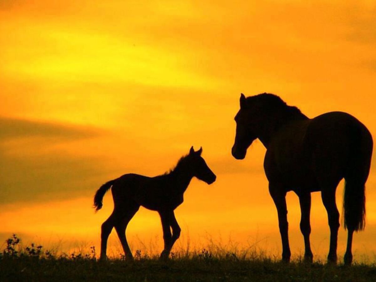 Примерно так выглядят Эйра и Иордан на рассвете. Фото из интернета.