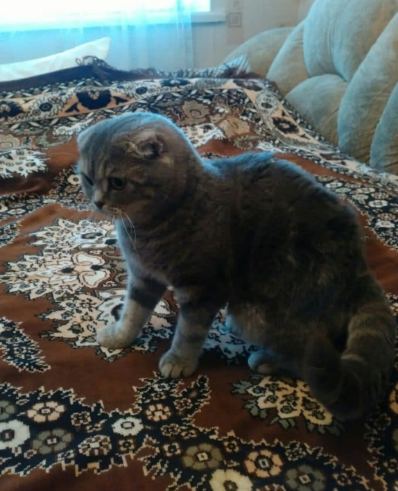 В глазах флешбеки прошлой жизни...