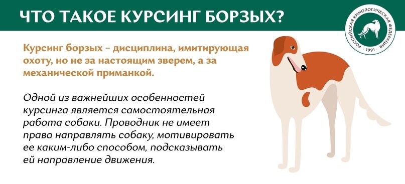 Что такое «курсинг»?