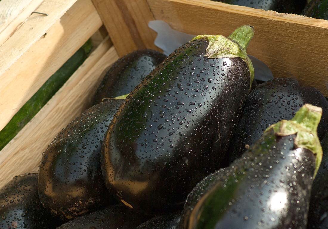 Фото: pixabay.com