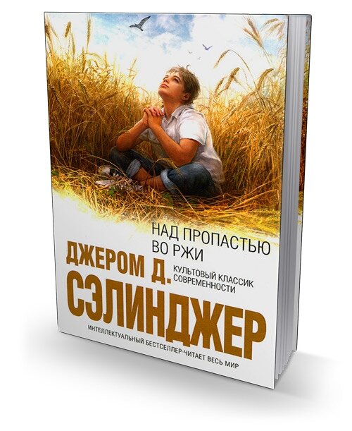 Фото взято из открытых источников