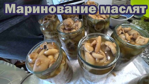 Рецепт маринованных маслят на зиму