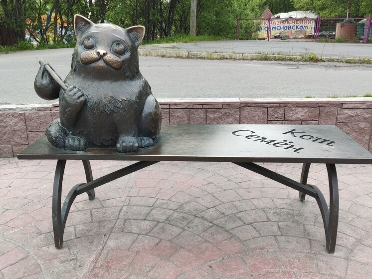     Кот Семен. Фото: МК в Мурманске